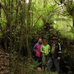 Malt Rest (Otway Park) - Rainforest walk